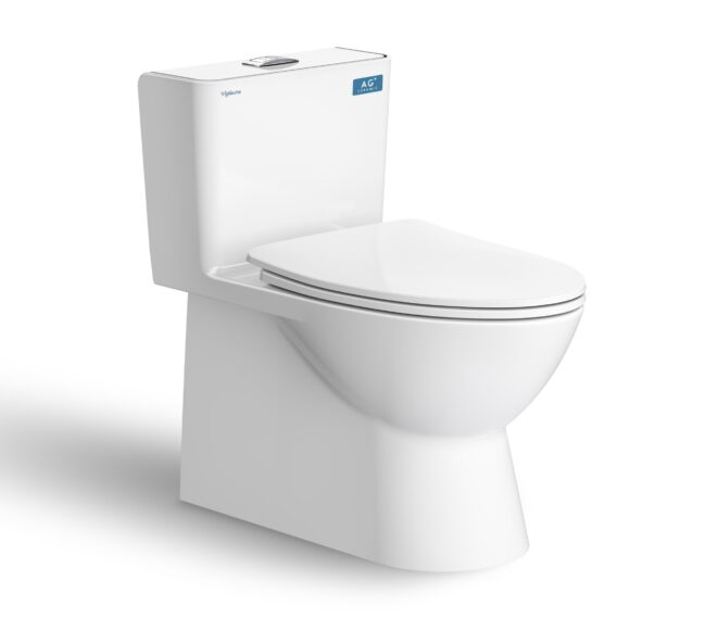 BÀN CẦU MỘT KHỐI V808